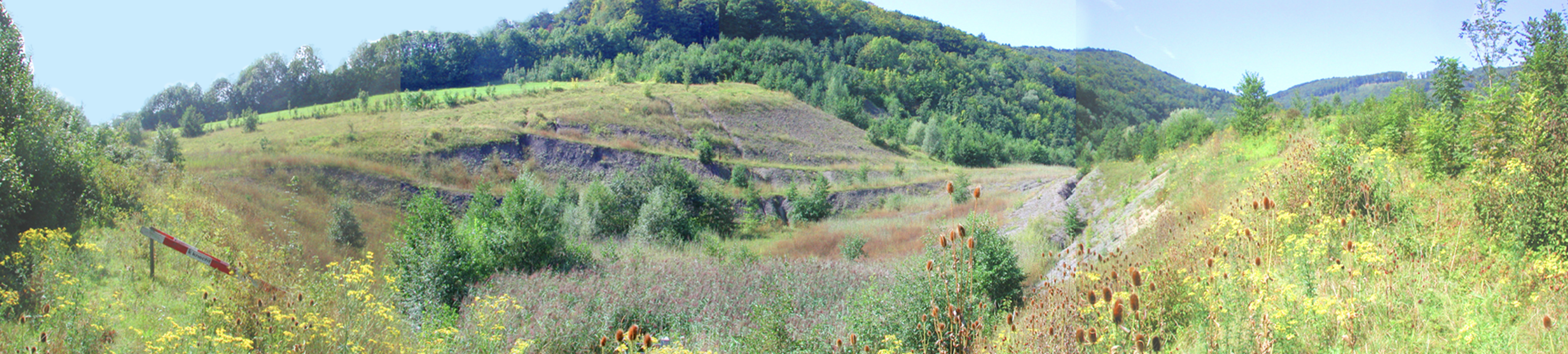 Naturwerkstatt